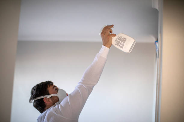 Best Mold Removal Specialists  in Brunswick, OH