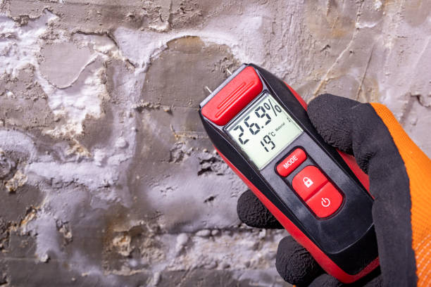 Best Affordable Mold Removal  in Brunswick, OH