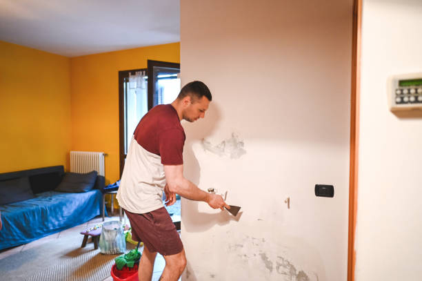Best Professional Mold Removal  in Brunswick, OH